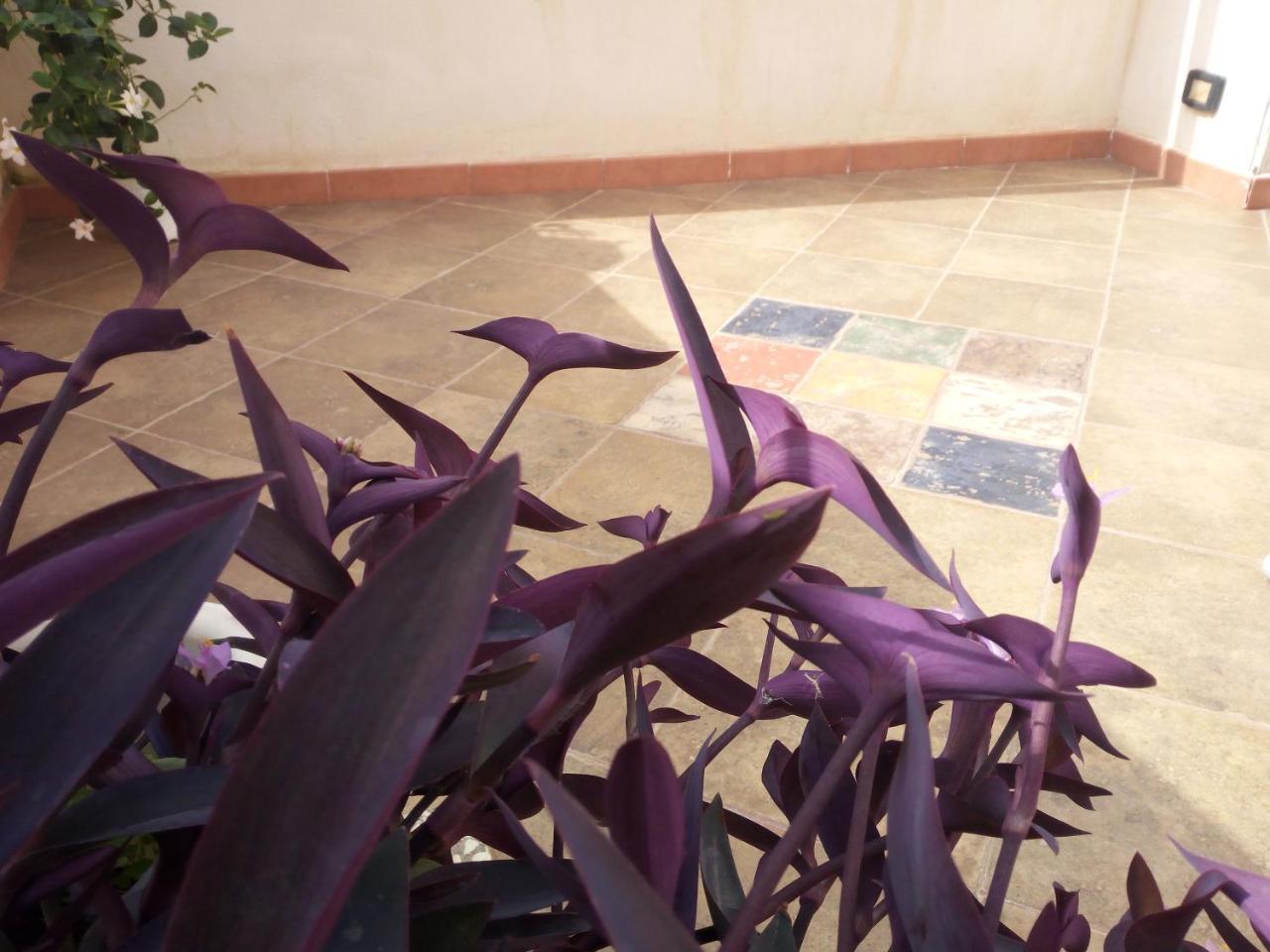 B&B Al Centro Storico Agrigento Eksteriør bilde