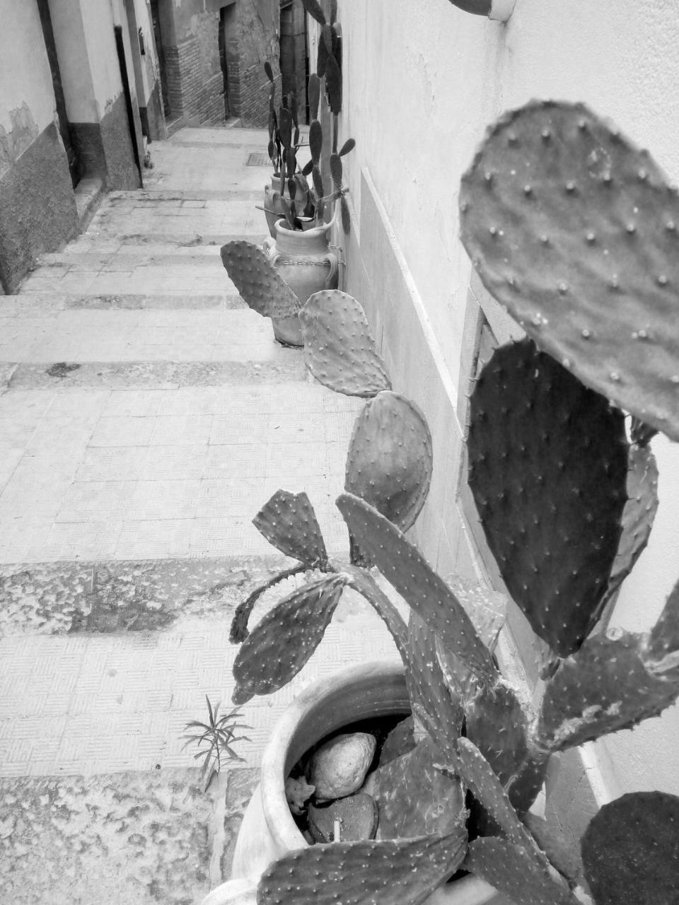 B&B Al Centro Storico Agrigento Eksteriør bilde